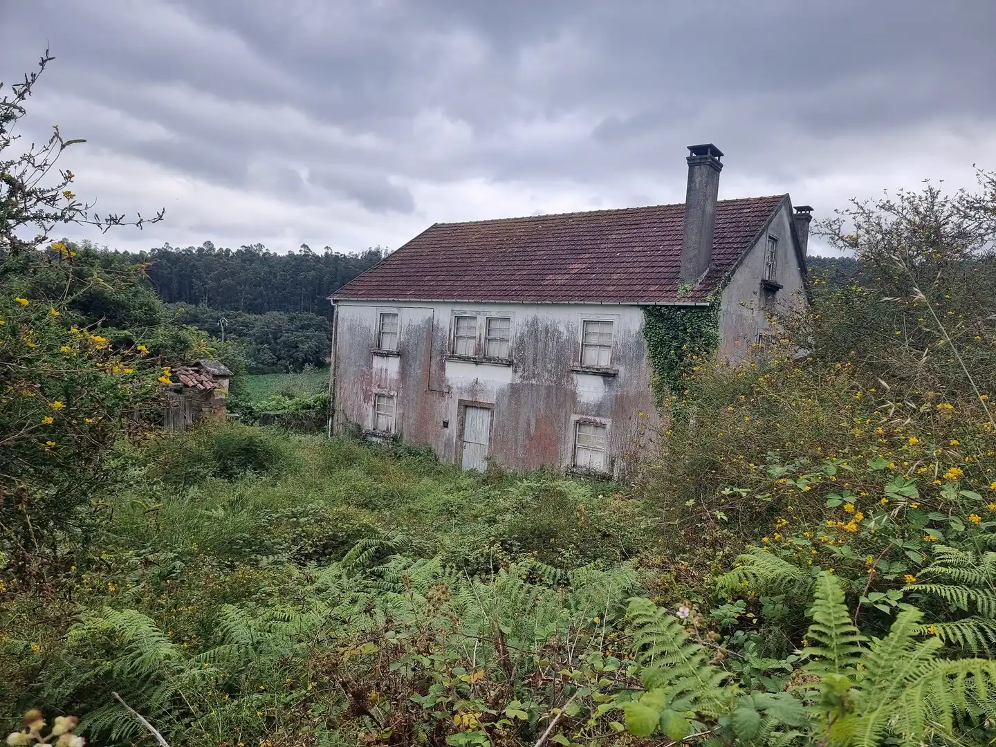 Vista exterior de Casa o xalet en venda en Boqueixón amb Jardí privat, Traster i Balcó