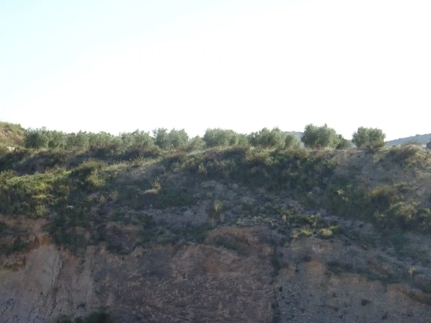 Casa o xalet en venda a Pedanías Este