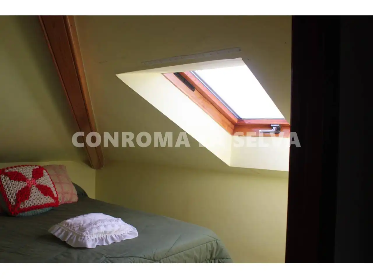 House with pool for sale in Calle Romaní, imagen 40