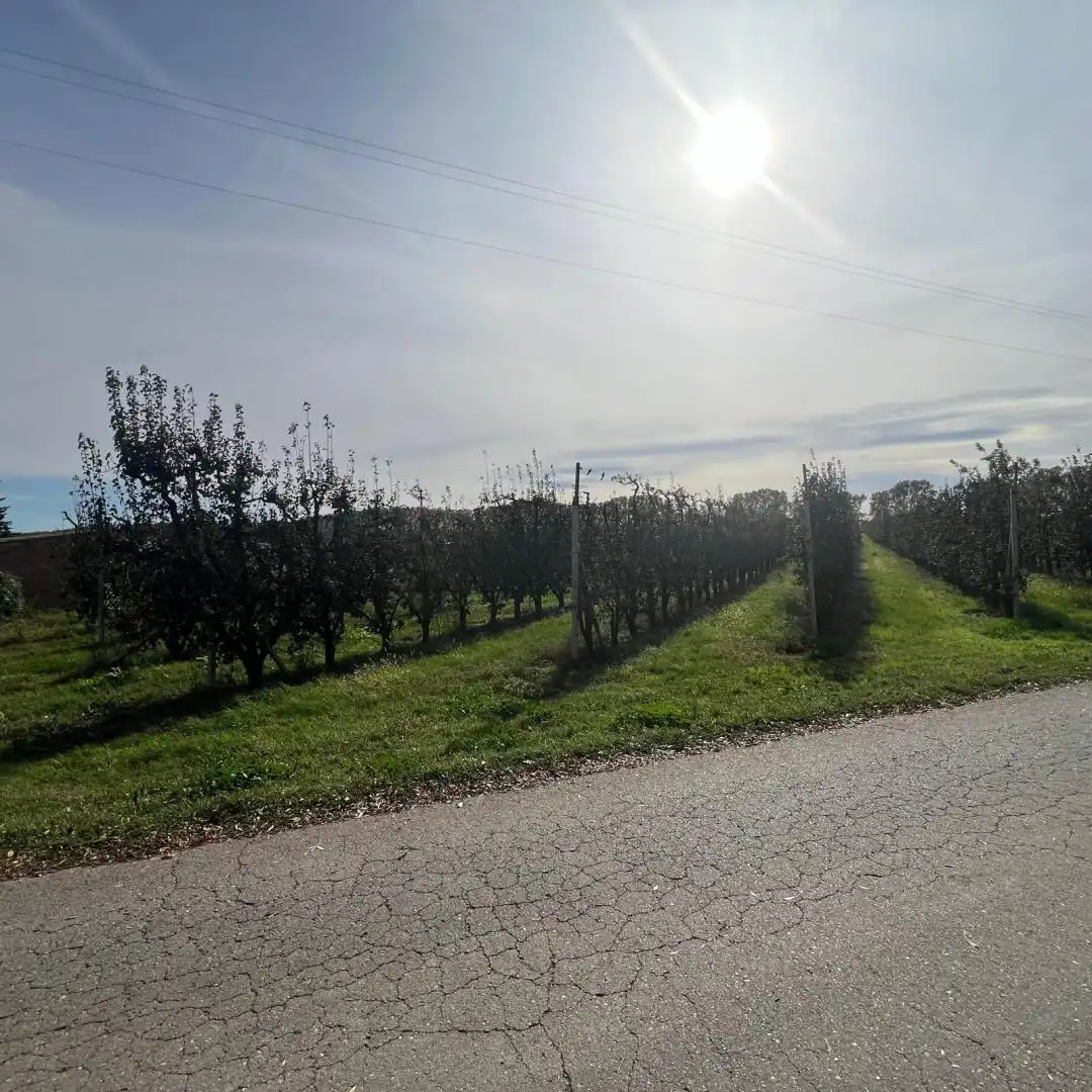 Terrenos y solares en venta en Camino 78, imagen 9