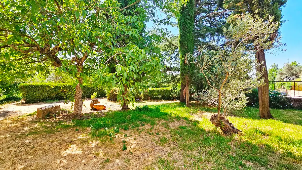 Jardín de Casa o chalet en venta en Aracena con Jardín privado, Terraza y Trastero