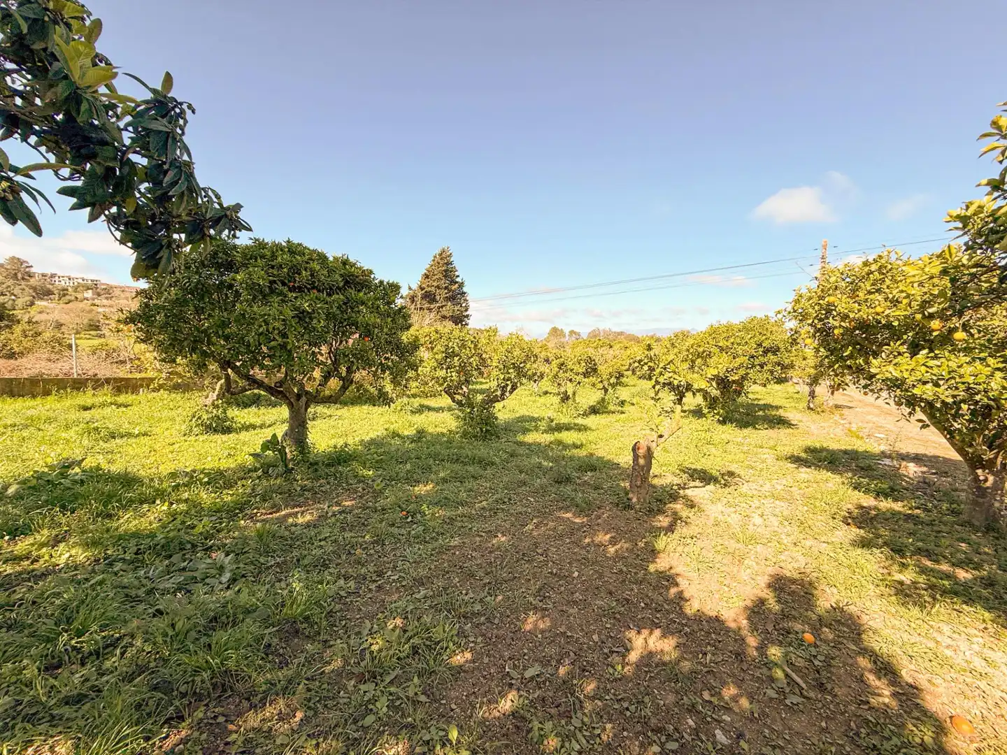 Finca rústica en venta en Costitx con Jardín privado y Terraza