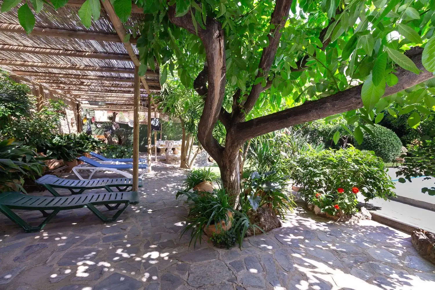 Villa mit Pool zur Miete in Calle Pasion 9, imagen 38