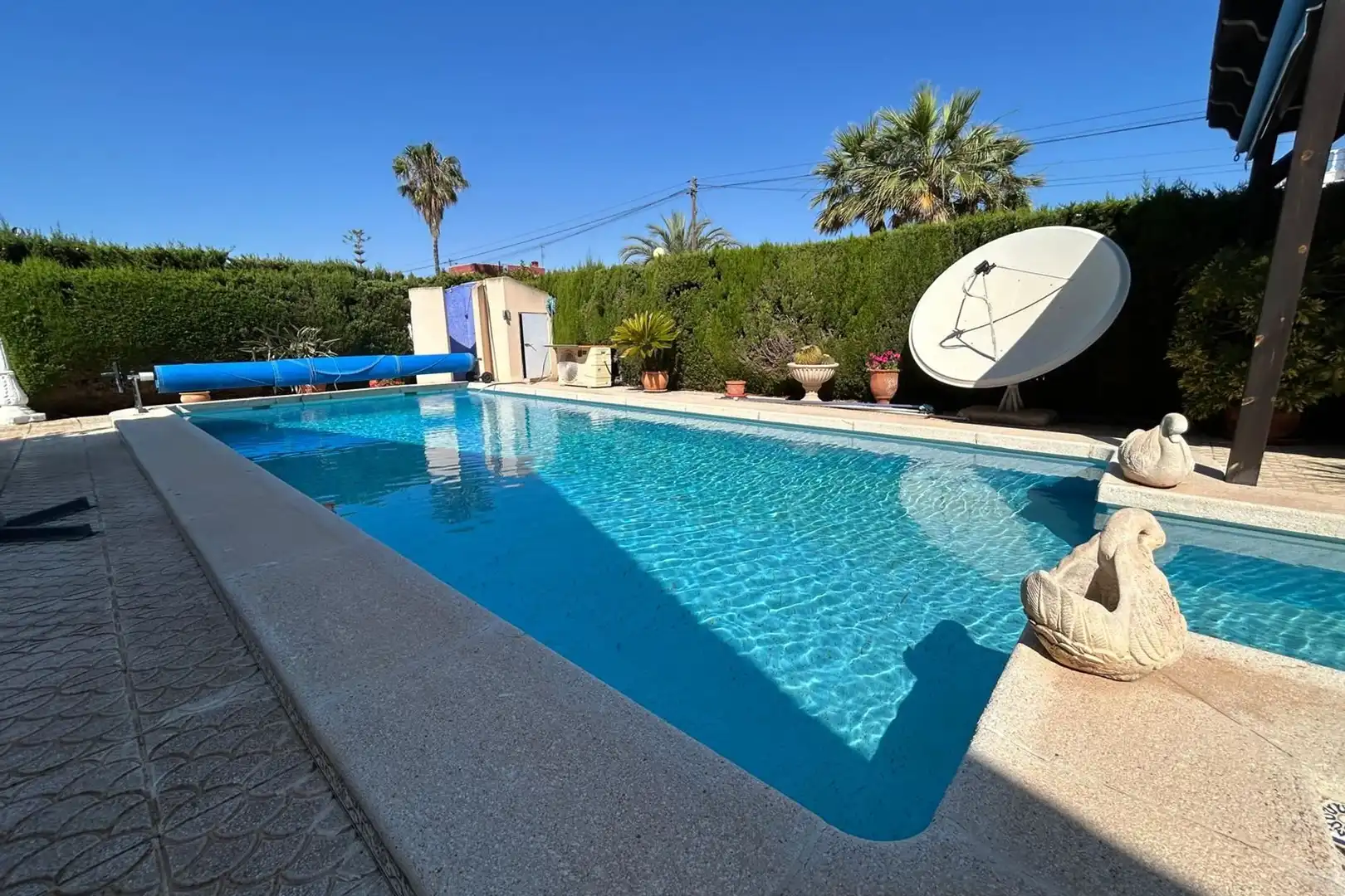 Piscina de Casa o xalet en venda en Orihuela