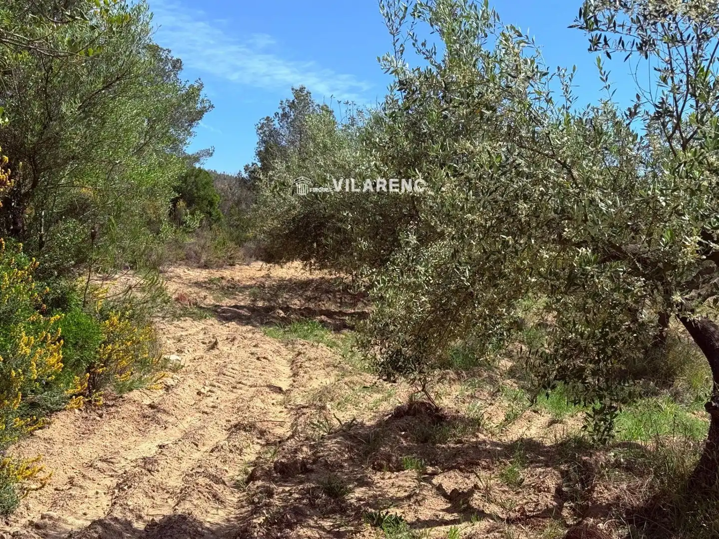 Rural land for sale in Massos de Vespella, imagen 3