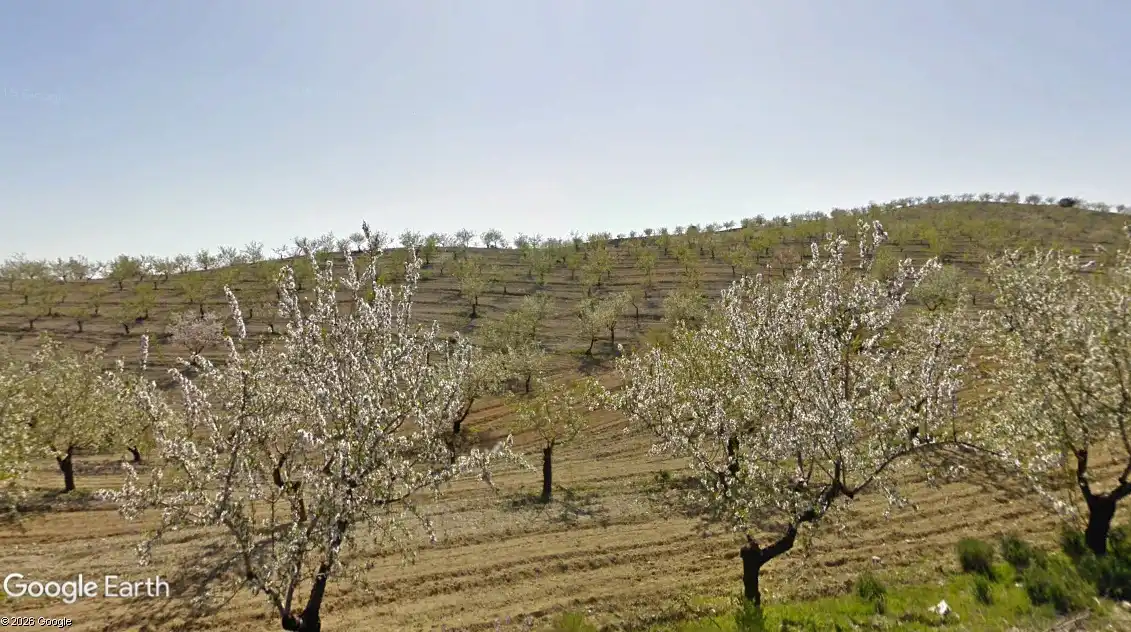 Terreno rustico in vendita a Taberno, imagen 7