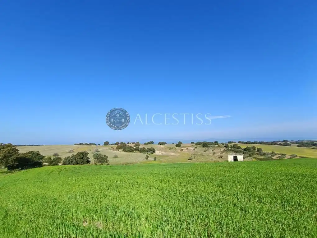 Terreni e lotti in vendita a Méntrida, imagen 13