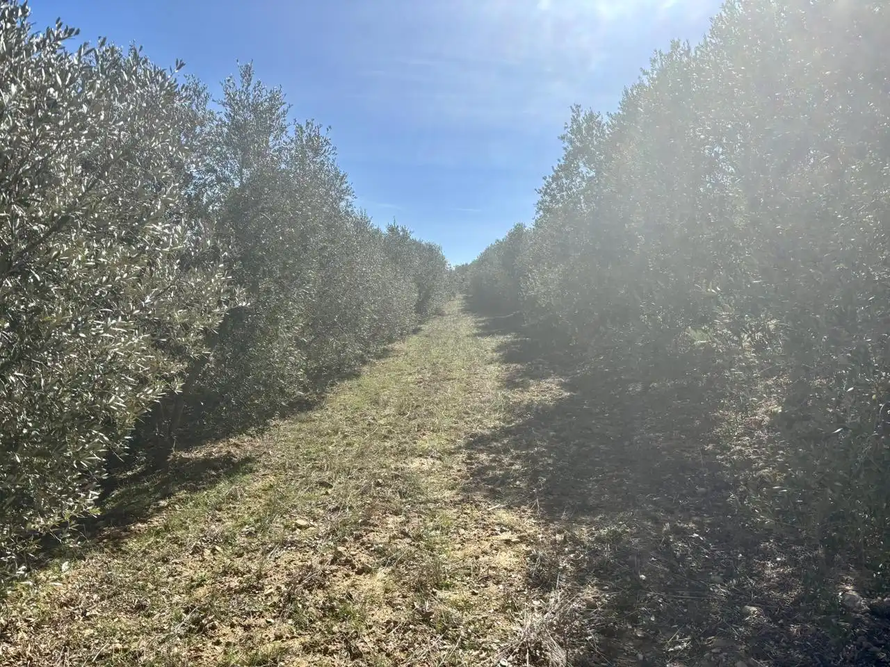 Terreno en venta en Solivella