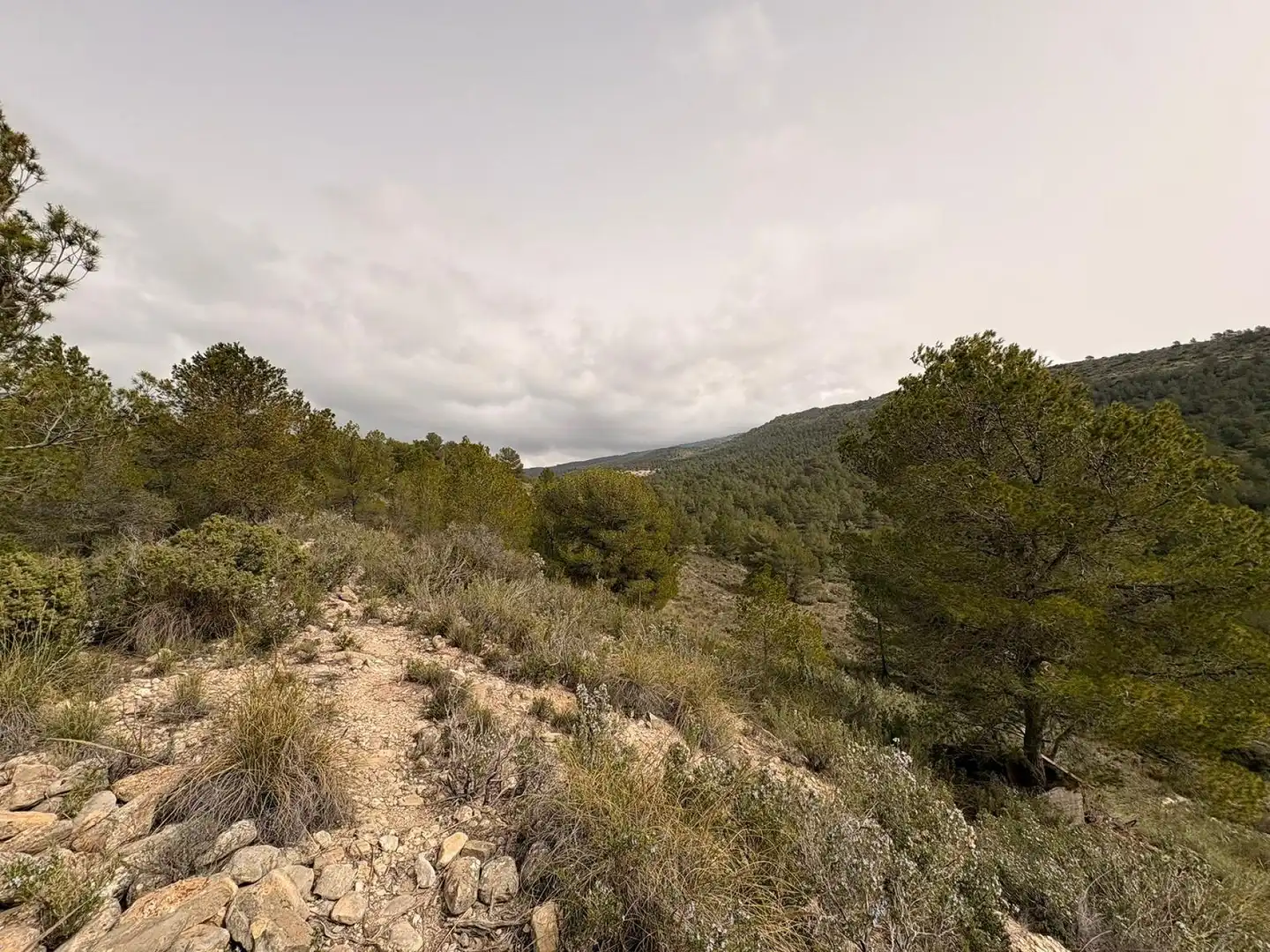 Terreno rustico in vendita a Petrer, imagen 5