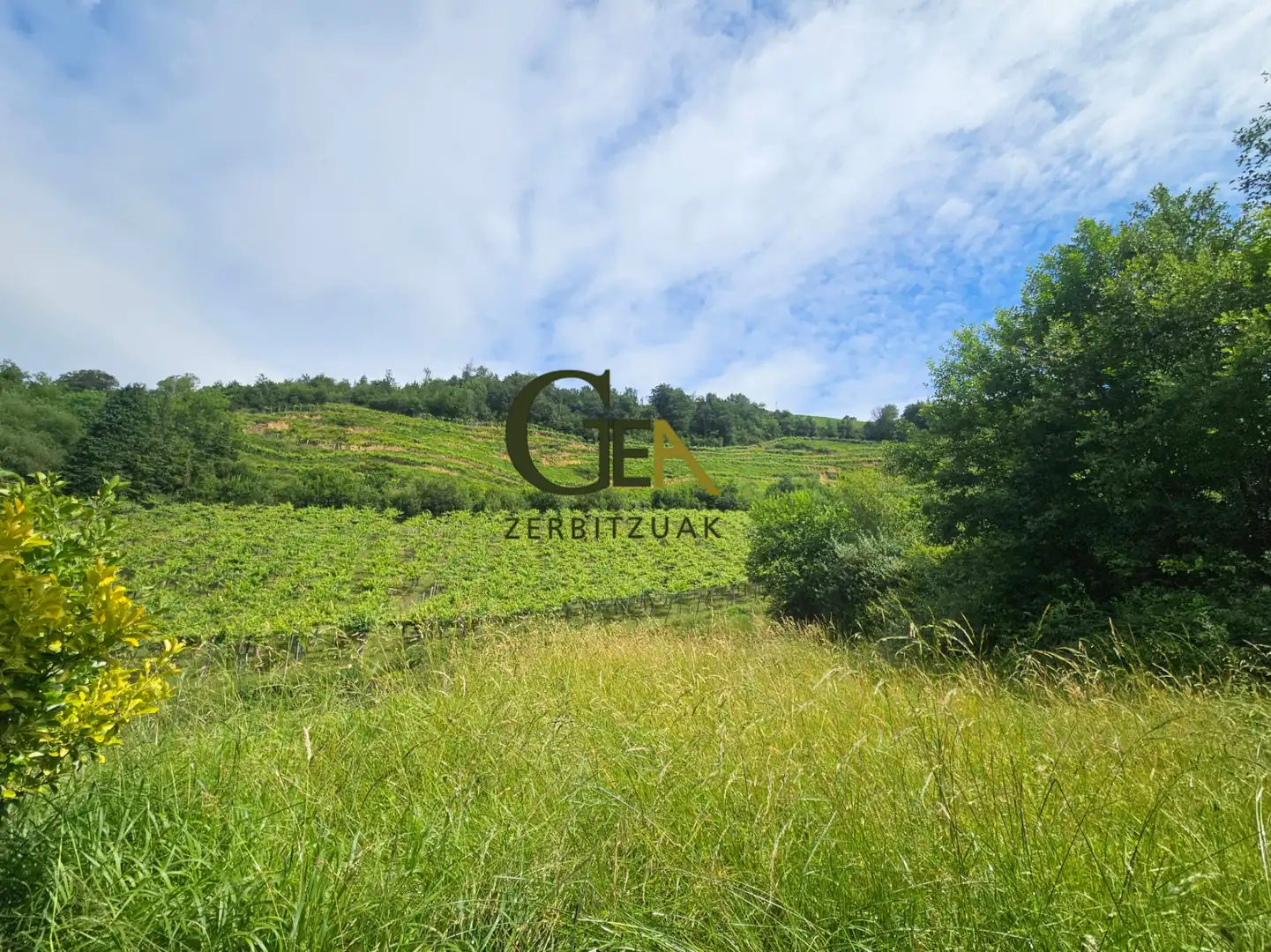Einfamilien-Reihenhaus zum Verkauf in Alkiza mit Heizung, Privatgarten und Terrasse