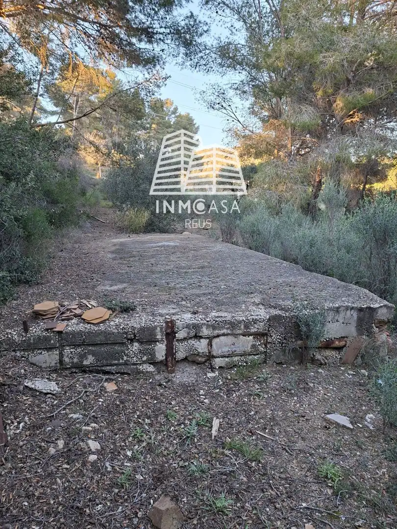 Land for sale in Les Borges del Camp