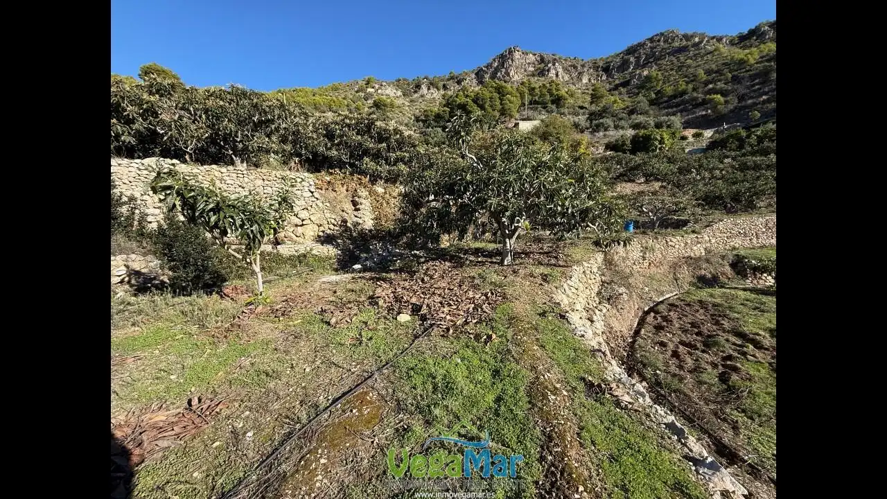 Finca rústica en venda en Otívar amb Jardí privat, Terrassa i Piscina
