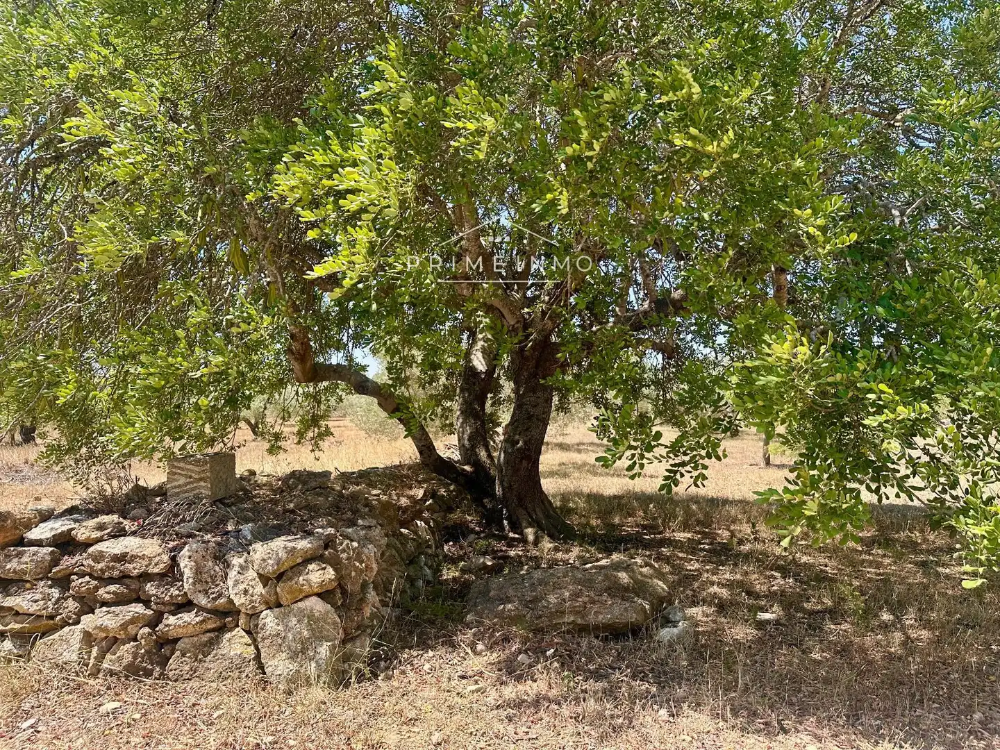 Finca rústica en venta en L'Ametlla de Mar  con Trastero