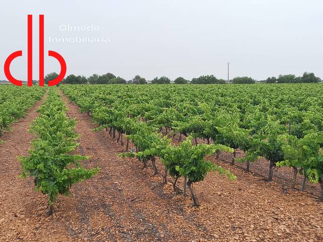 Terreno en Venta en Calle García Pavón, 112 en Tomelloso