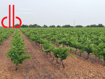 Terreno rustico in vendita a Calle García Pavón 112