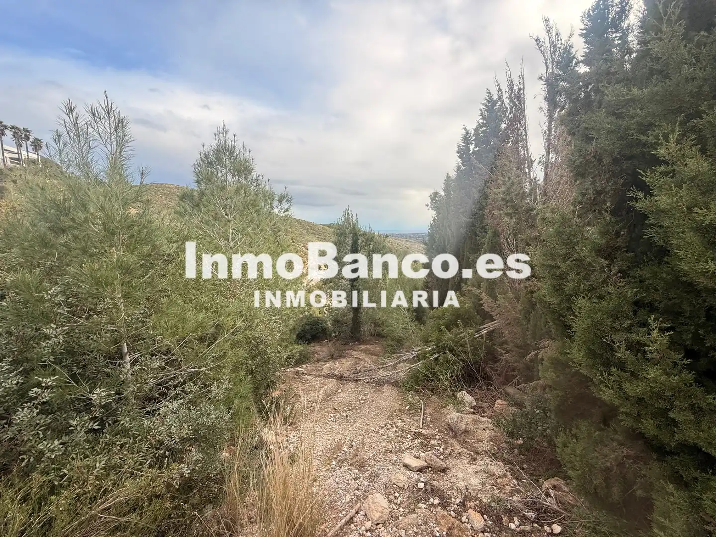Residential land for sale in Calle Félix Pizcueta 67, imagen 23