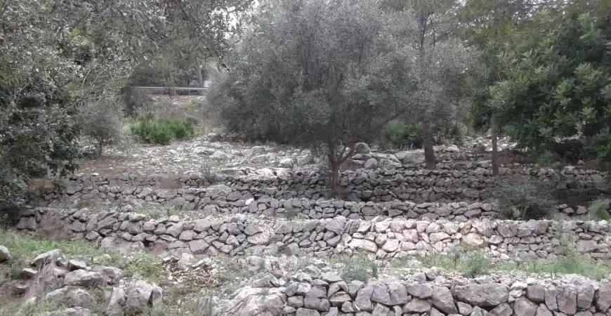 Residential land for sale in Carrer el Xiprer, imagen 5