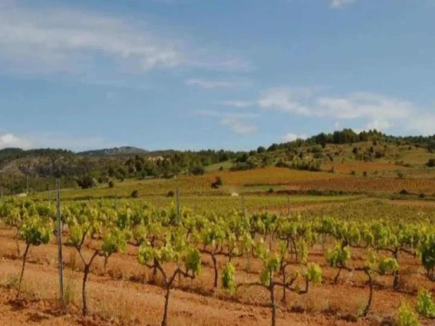 Casa o xalet en venda a Sant Jaume dels Domenys