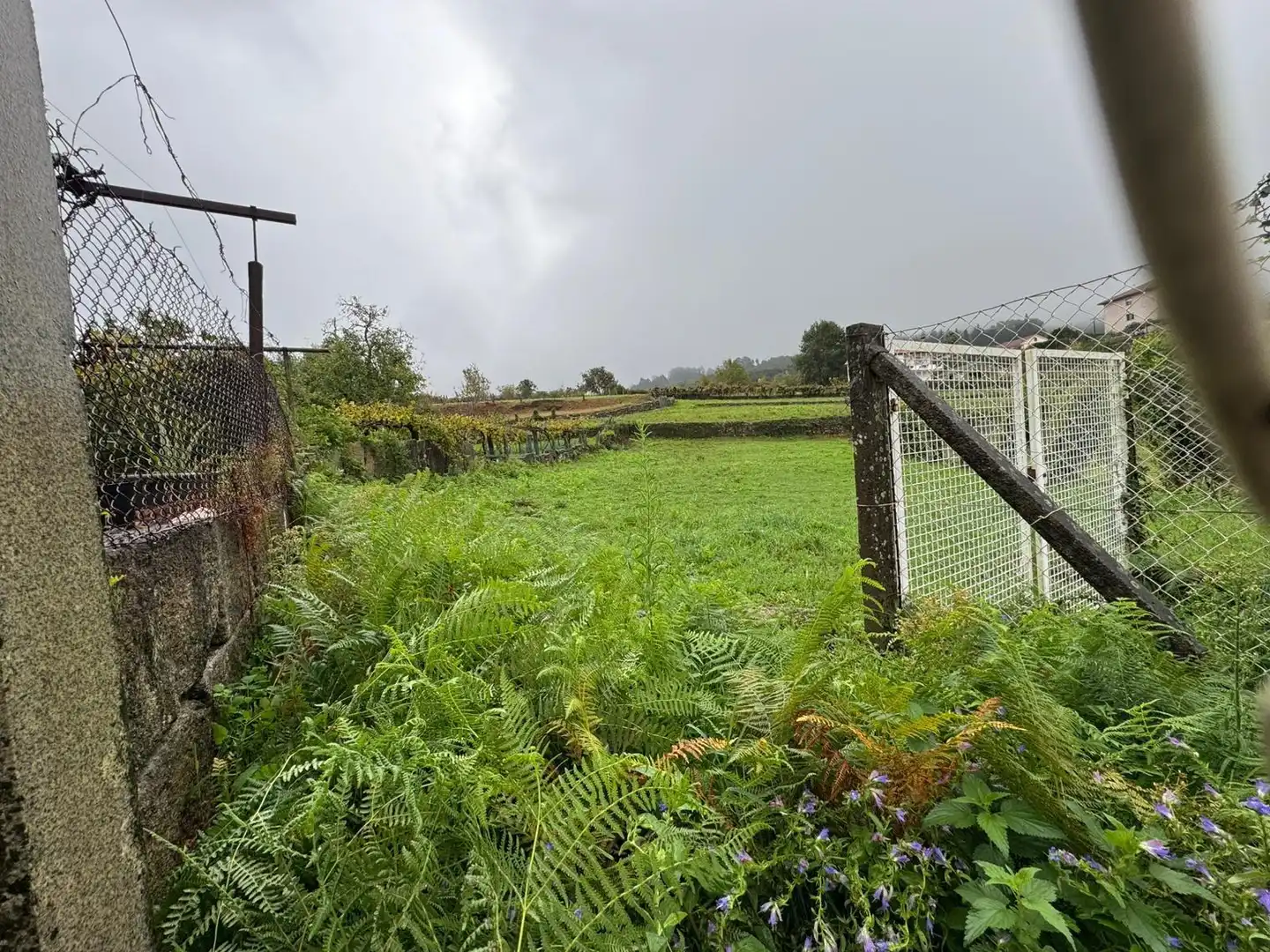 Lands and plots for sale in Soutomaior, imagen 5