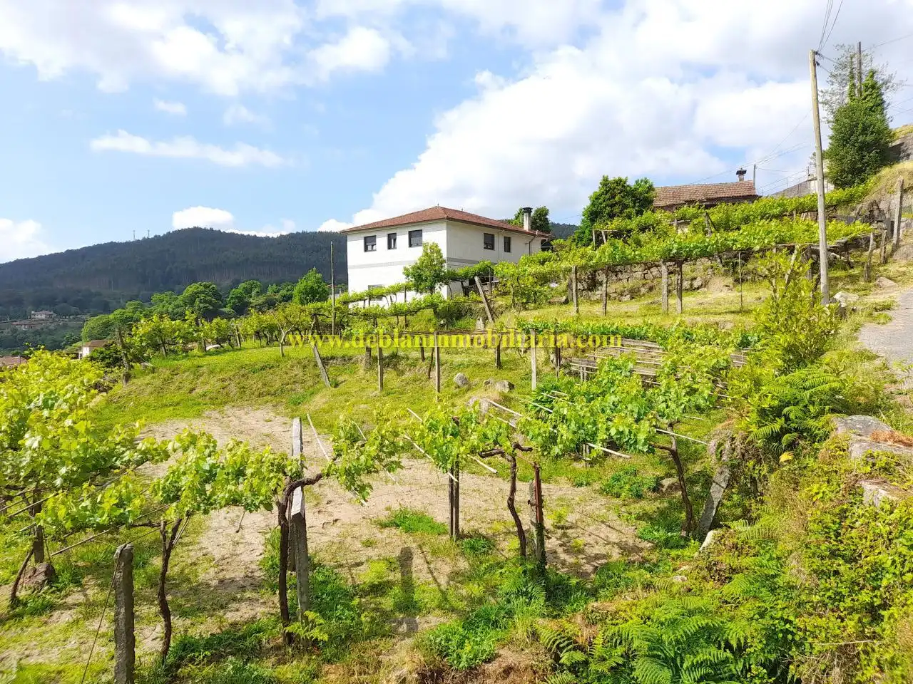 Rural land for sale in Tomiño
