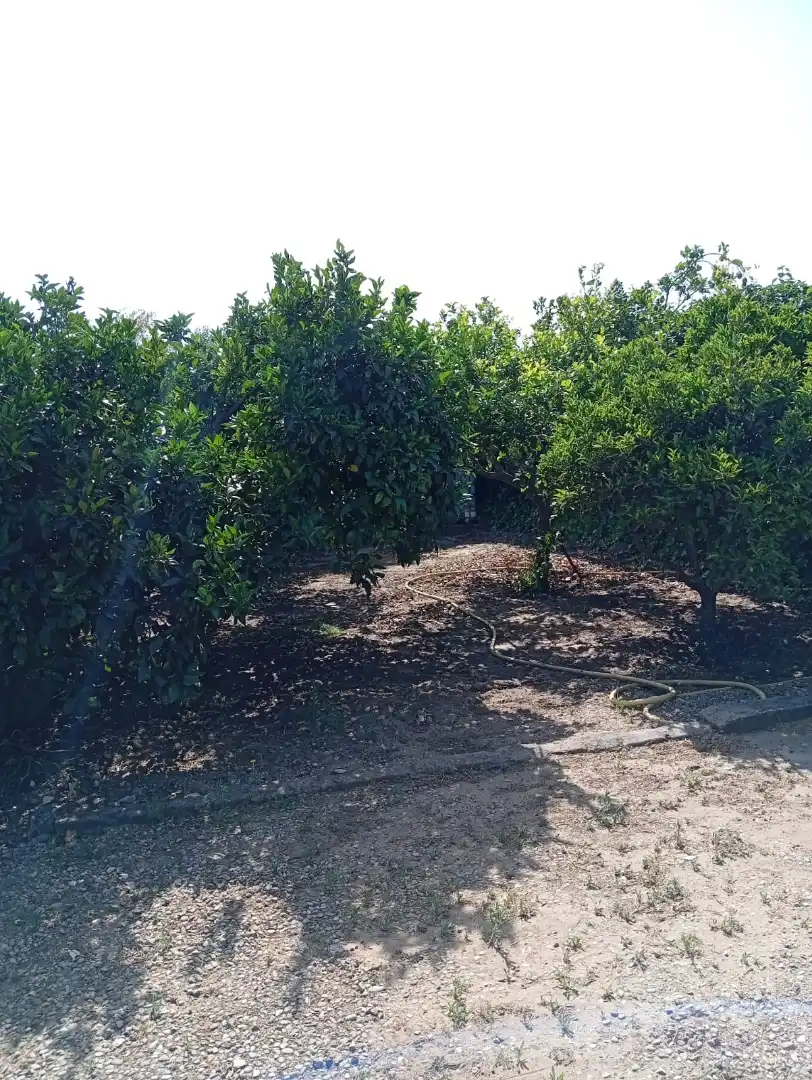 Finca rústica de alquiler en Medina Sidonia con Jardín privado, Terraza y Amueblado