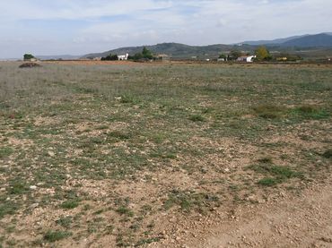 Terreno rustico in vendita a Yecla
