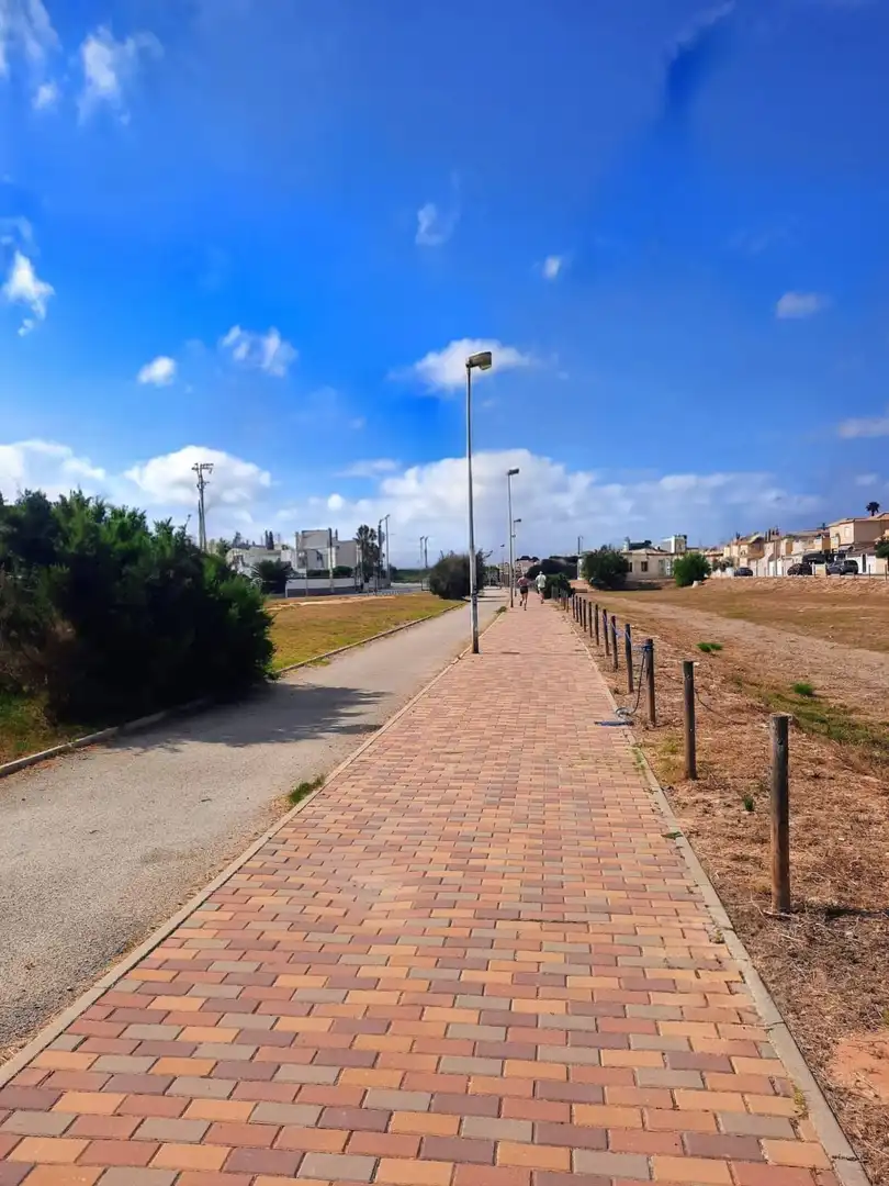 Vista exterior de Casa o xalet en venda en Torrevieja amb Aire condicionat, Jardí privat i Terrassa