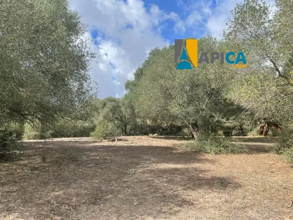 Terreni e lotti in vendita a Vejer
