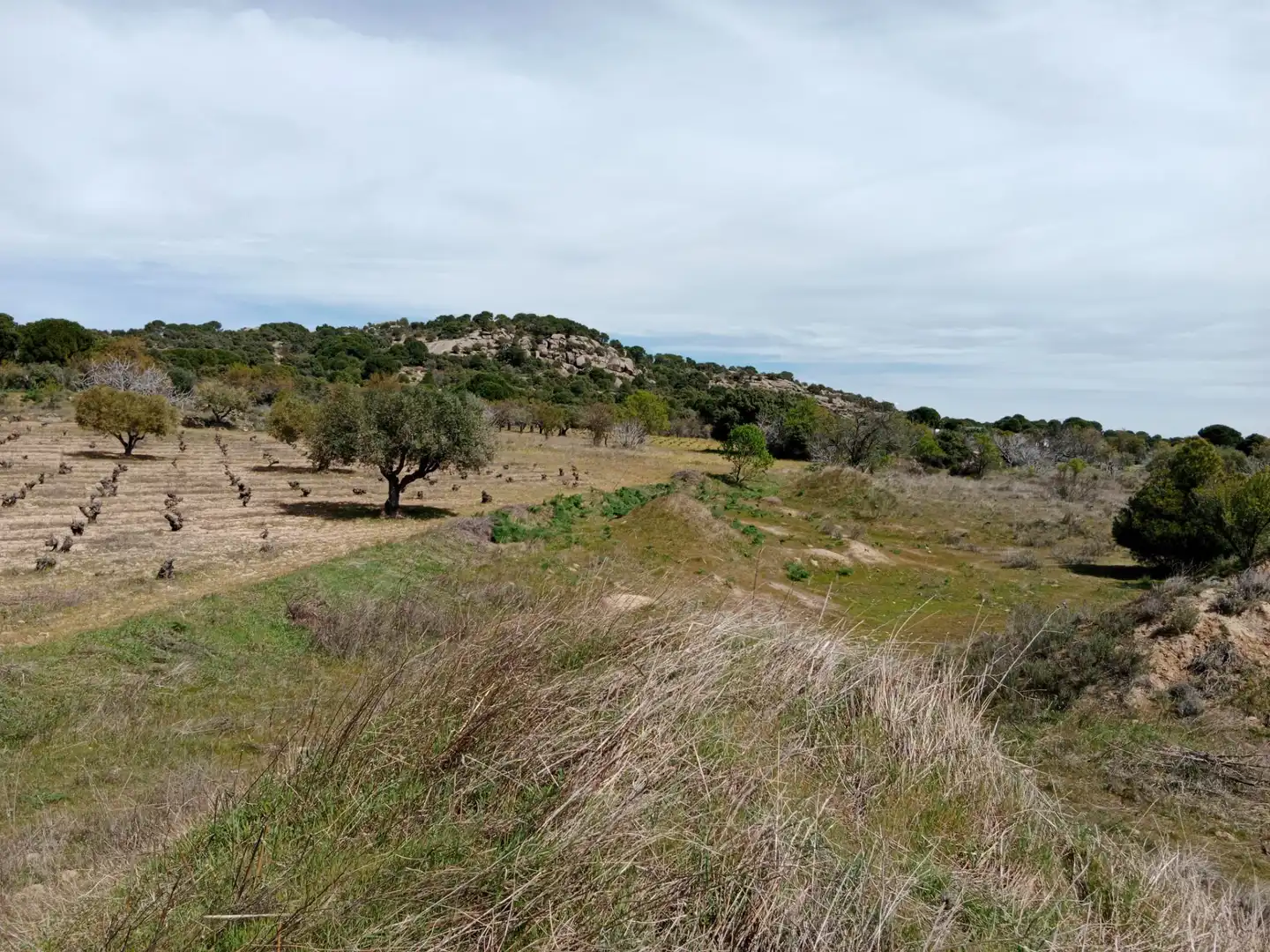 Terreno rustico in vendita a Camino Barzales, imagen 5