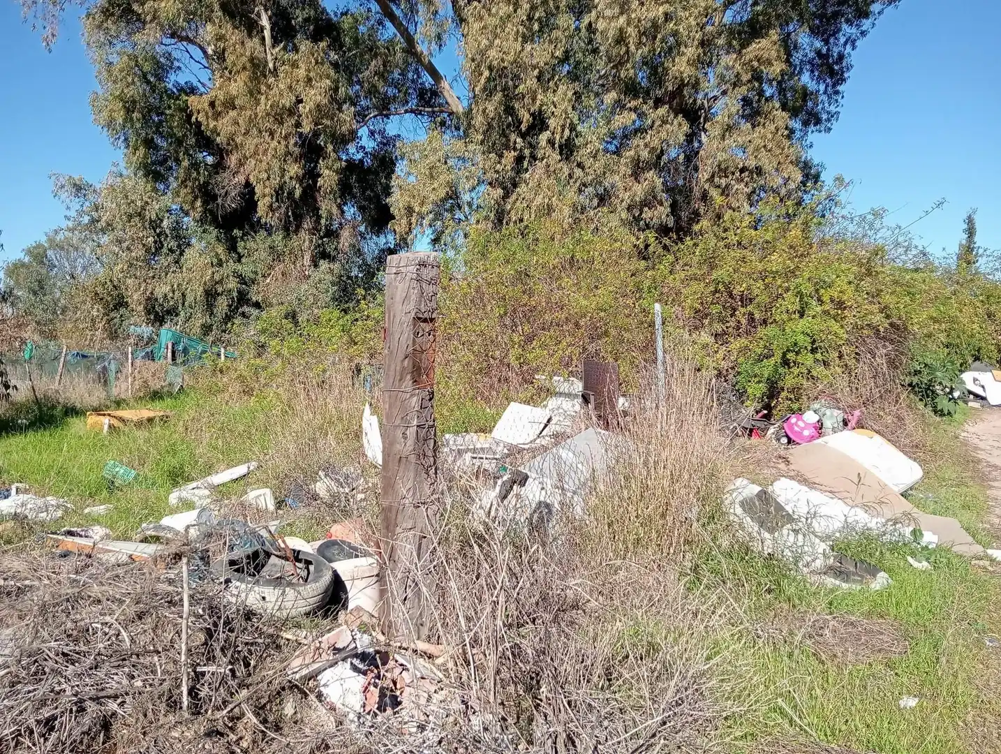 Grundstücke und Bauplätze zum Verkauf in El Rinconcillo, imagen 7