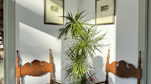 Photo 2 of Commercial properties for rent in Paseo de Los Castaños, 52, El Puerto, Roquetas de Mar