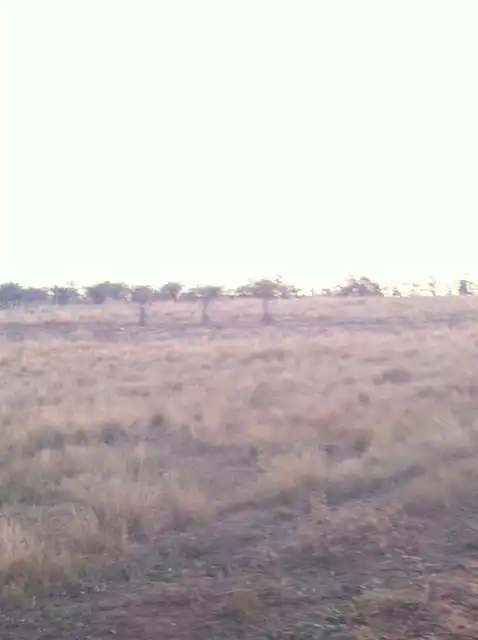 Terreny rústic en venda a Partida TOT SOL, imagen 5