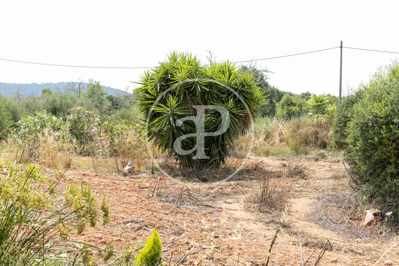 Houses for rent in Felanitx  with Air Conditioner, Private garden and Swimming Pool