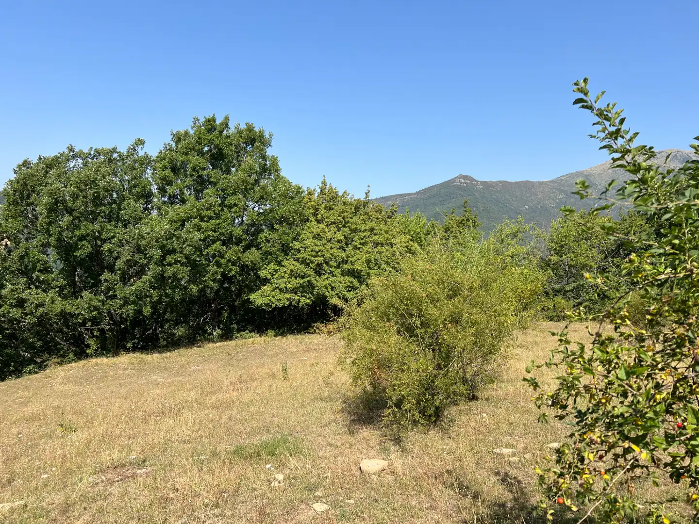 Land for sale in Broto
