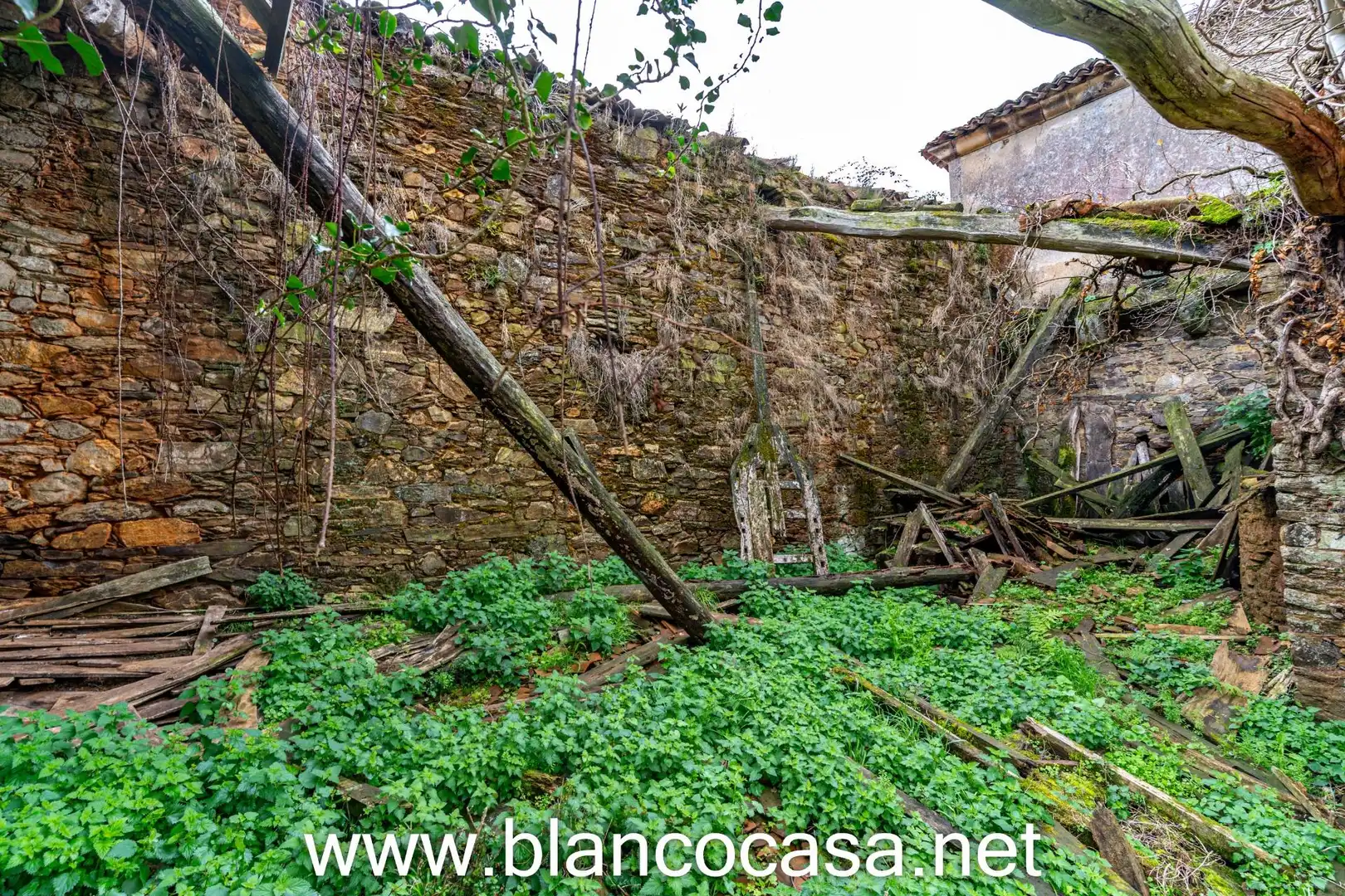 Finca rústica en venta en Coristanco con Jardín privado