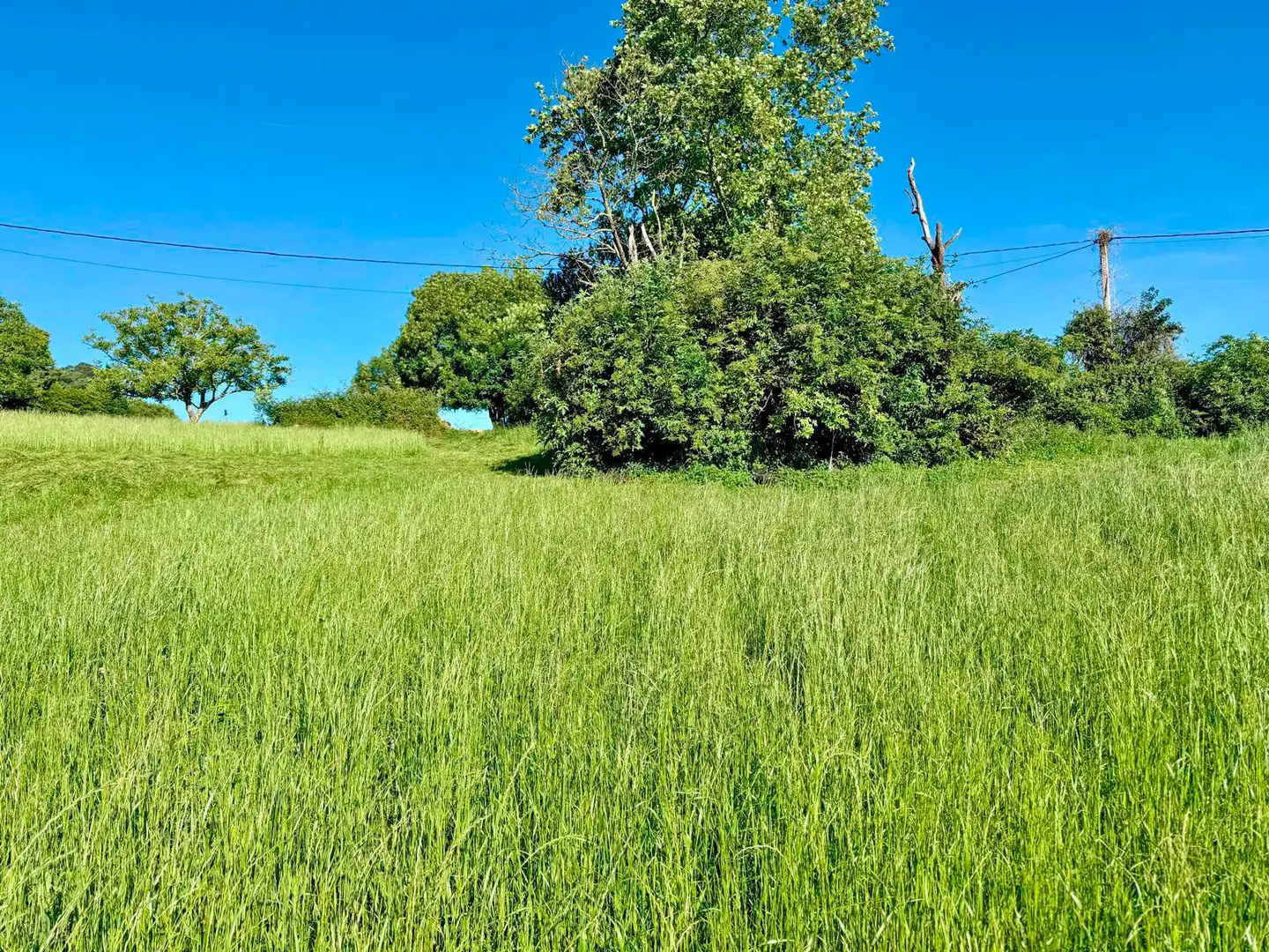 Terreno en venta en Medio Cudeyo