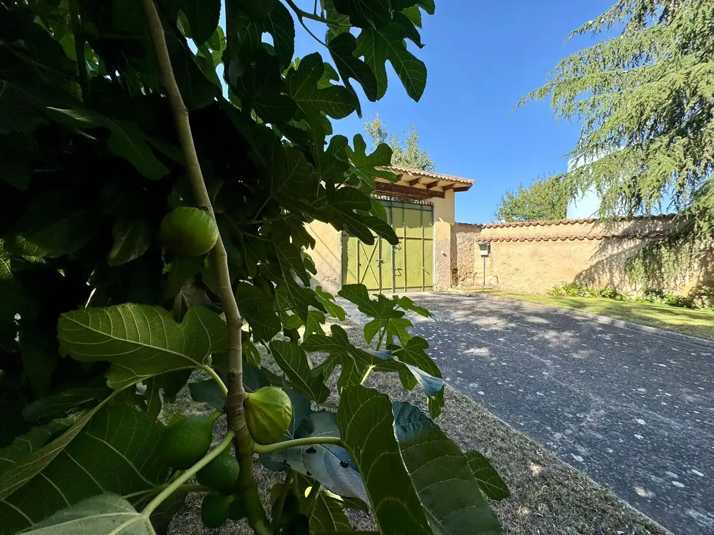 Jardí de Nau industrial en venda en Segovia