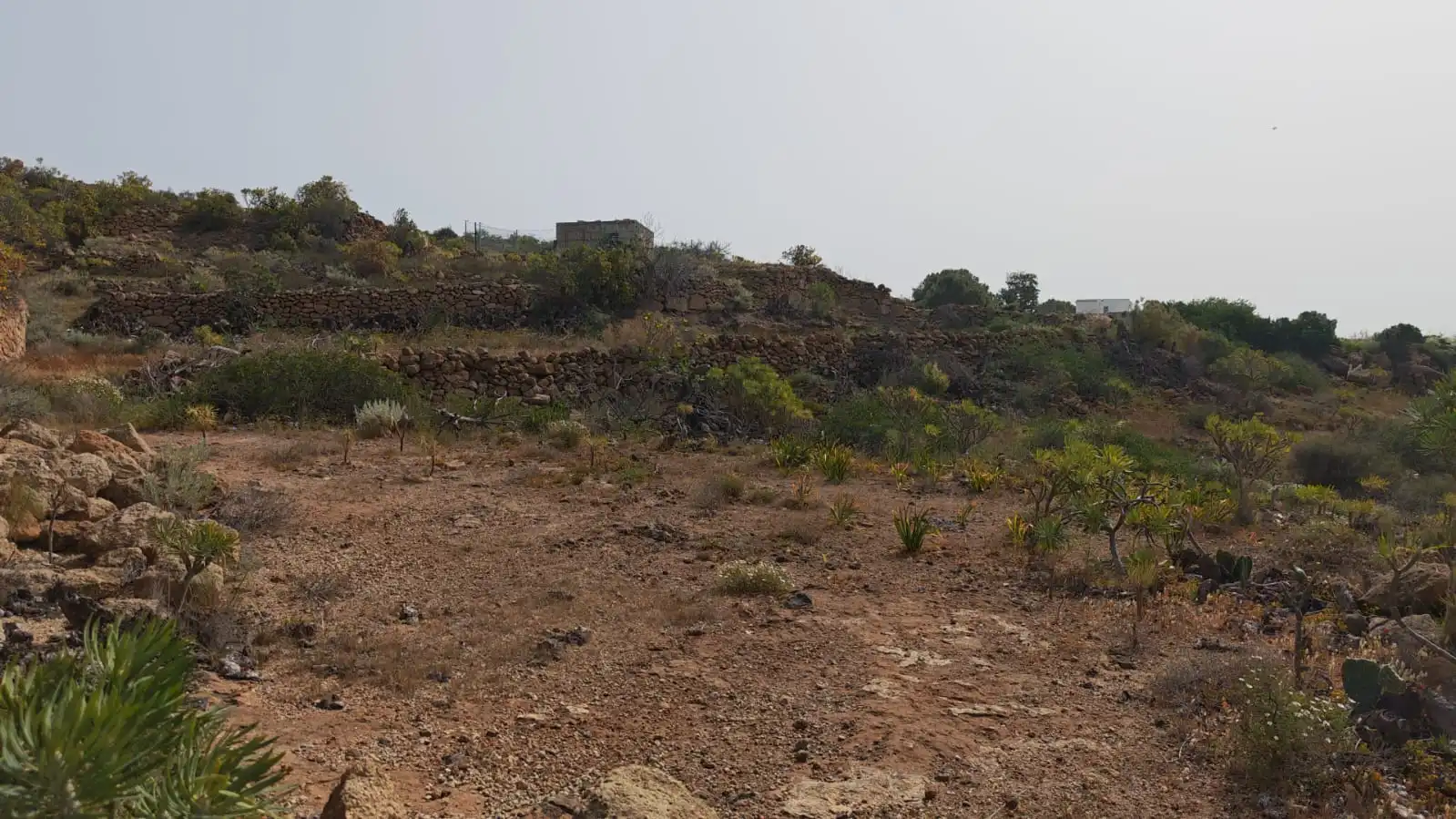Terreno en venta en Arico