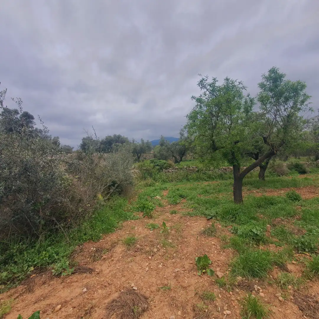 Rustikales Grundstück zum Verkauf in El Pinell de Brai, imagen 4