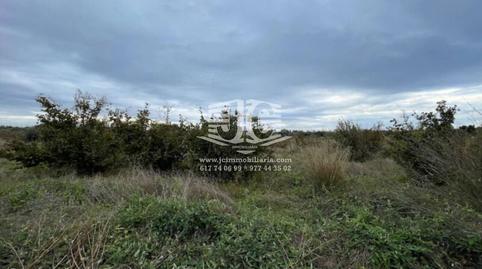 Photo 4 of Industrial land for sale in Poligo 31, Port - Horta de Santa María, Tarragona