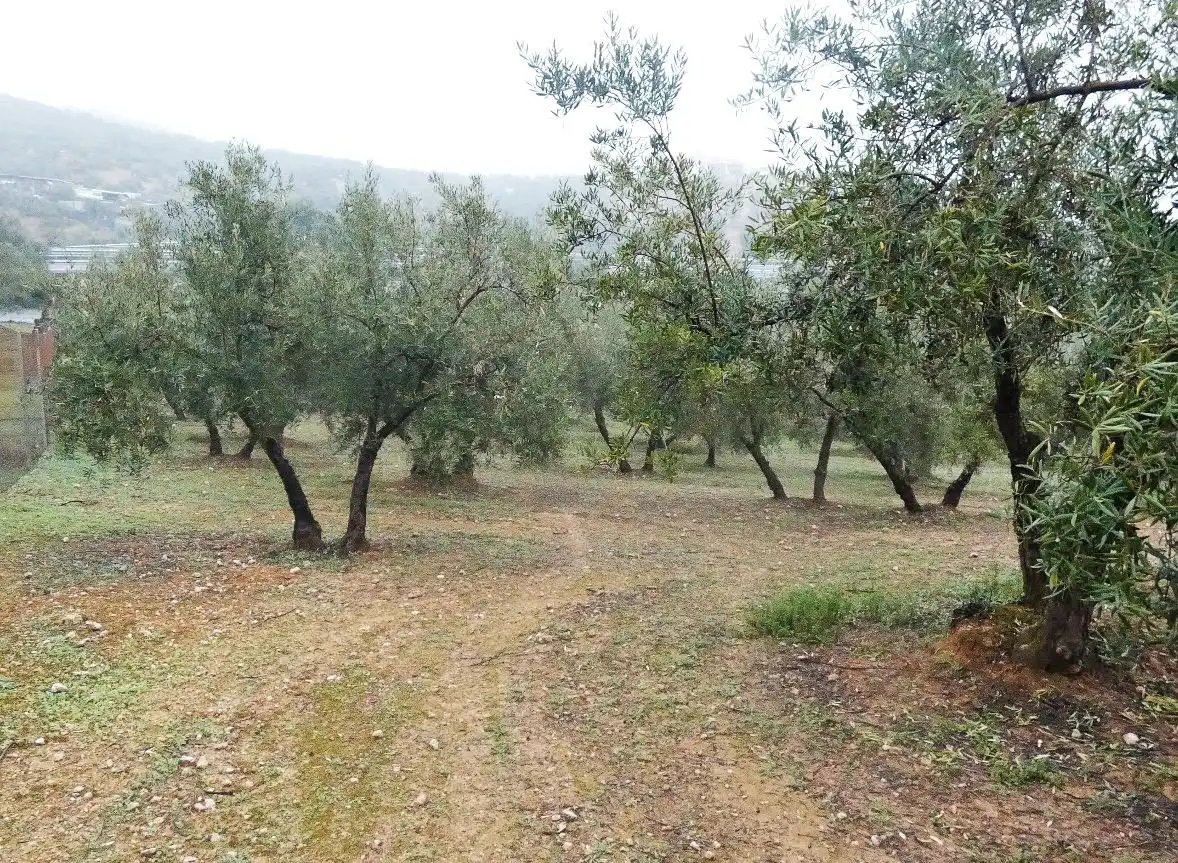 Terrain rustique à vendre à Peligros, imagen 21
