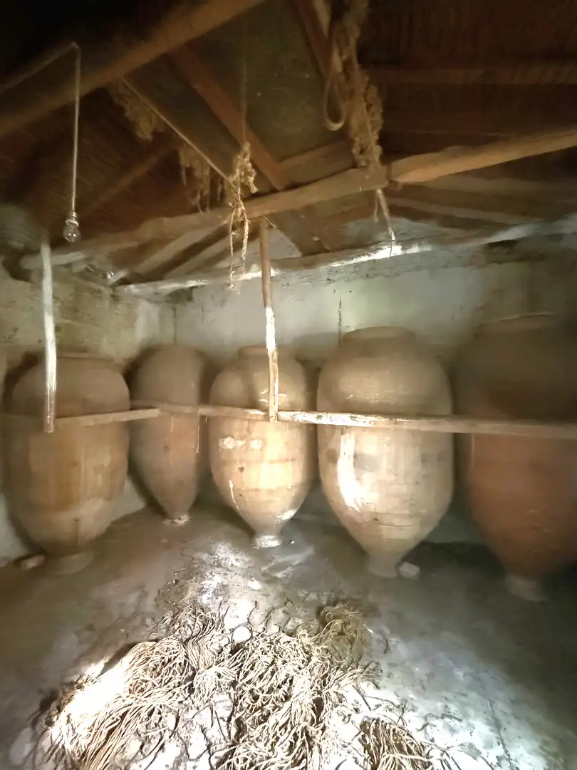Terreno rustico in vendita a Calle Diseminado, imagen 15