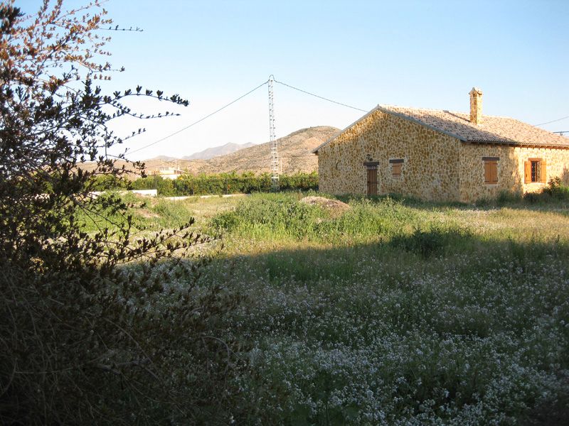House or chalet for sale in Orihuela