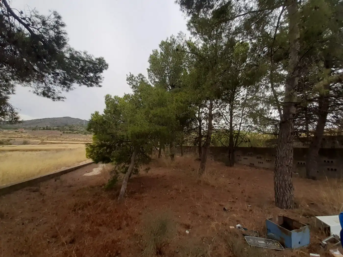 Maison rustique avec piscine à vendre à Monóvar  / Monòver, imagen 14