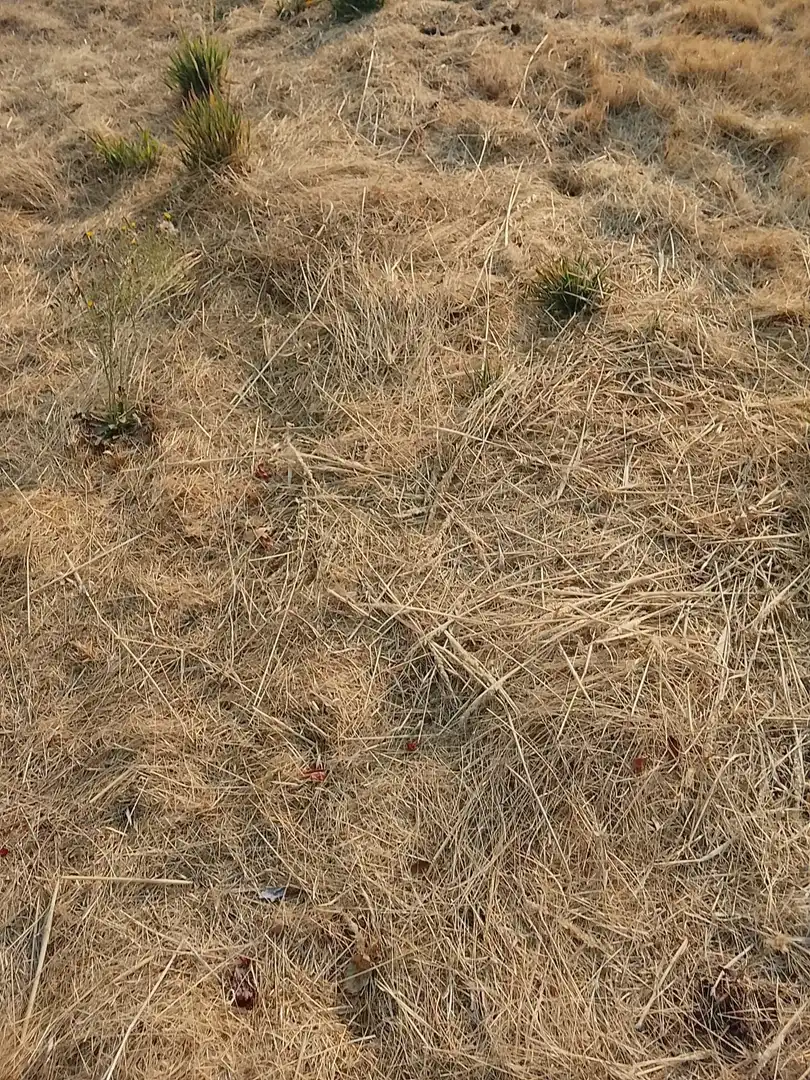 Terreni e lotti in vendita a Villanueva de la Vera, imagen 19