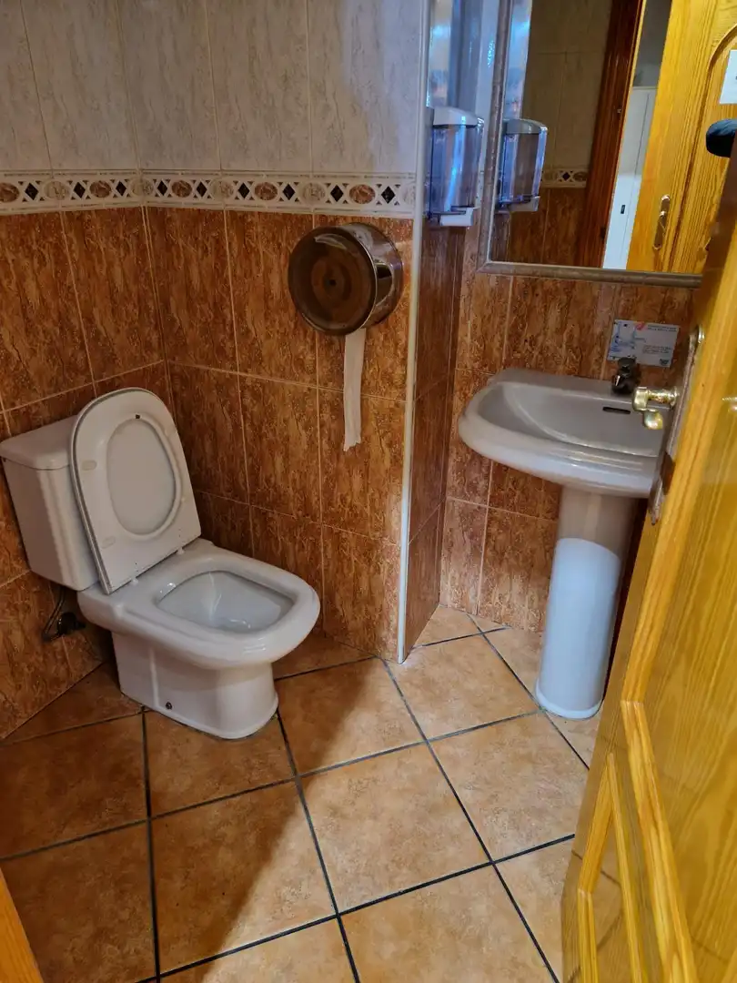 Bathroom of Commercial properties for sale in Archena