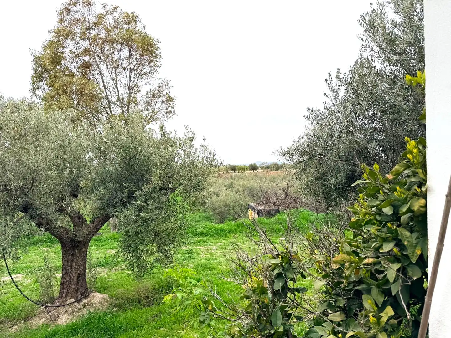 House for sale in Oria, imagen 32