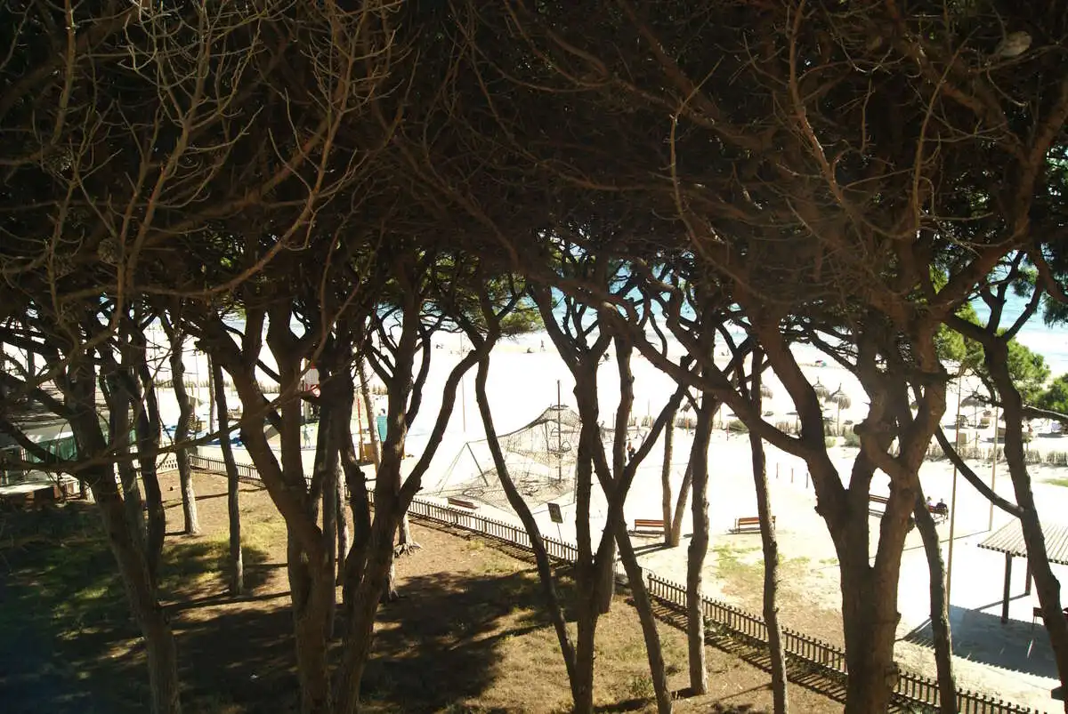 Apartament amb ascensor en venda a Pau Casals, imagen 12