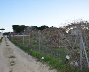 Land for sale in Chiclana de la Frontera