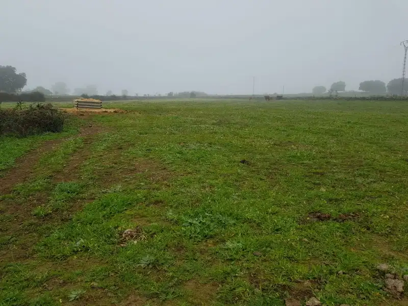 Terreni e lotti in vendita a Oliva de Plasencia, imagen 10